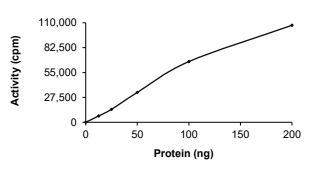 Casein kinase 1 epsilon Protein, Human, Recombinant (Active, GST)