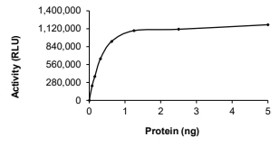 CAMK2D Protein, Human, Recombinant (GST)