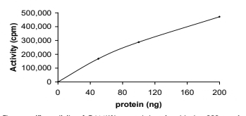 PNCK/CAMK1 beta Protein, Mouse, Recombinant (GST)