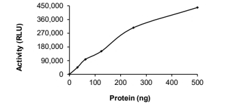 DNMT3A Protein, Human, Recombinant (GST)