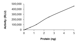 CAMKI Protein, Mouse, Recombinant (GST)