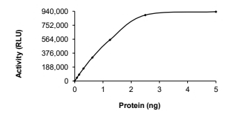 CAMKII beta/CAMK2B Protein, Human, Recombinant (His)