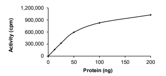 CAMKI gamma/CAMK1G Protein, Human, Recombinant (GST)