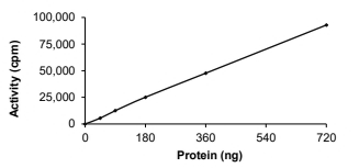EphA6 Protein, Human, Recombinant (GST)