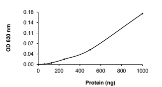 CDC25C Protein, Human, Recombinant (GST)