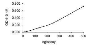 DUSP22/MKPX Protein, Human, Recombinant (GST)