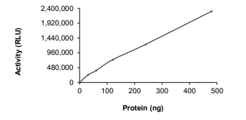 DGKE Protein, Human, Recombinant (GST)