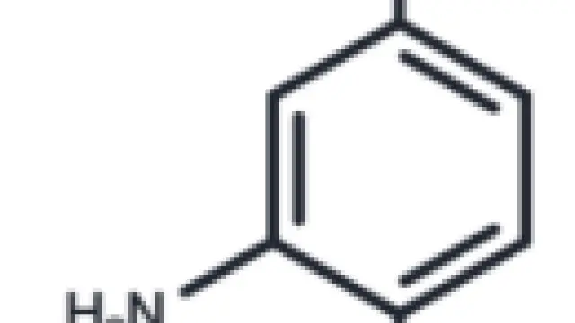 TargetMol—Signaling Pathway—Ferrostatin-1 (Cat. No. T6500, CAS. 347174-05-4), an Important Inhibitor of Ferroptosis