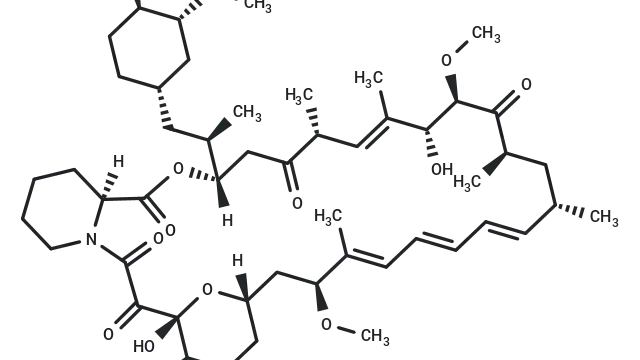 TargetMol—Natural Product—Rapamycin (Cat. No. T1537, CAS. 53123-88-9), a Classical Molecular Tool for Activating Autophagy and Metabolic Reprogramming
