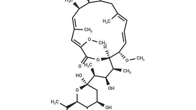 TargetMol—Natural Product—Bafilomycin A1 (Cat. No. T6740, Cas. 88899-55-2), a Key Tool in the Study of Autophagic Flux