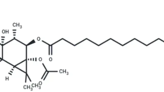 TargetMol—Disease Modeling—PMA (Cat. No. TQ0198, Cas. 16561-29-8), Classical PKC Activator
