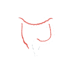 TargetMol | Digestive disorders
