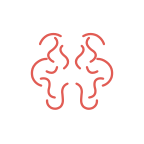 TargetMol | Neurological disorders
