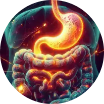 TargetMol | Digestive disorders