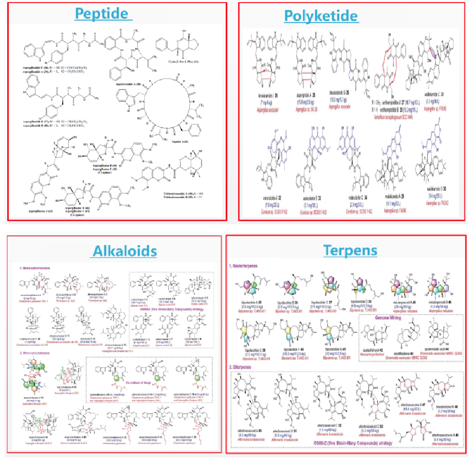  Mini Fungal Metabolite Natural Product Screening Library